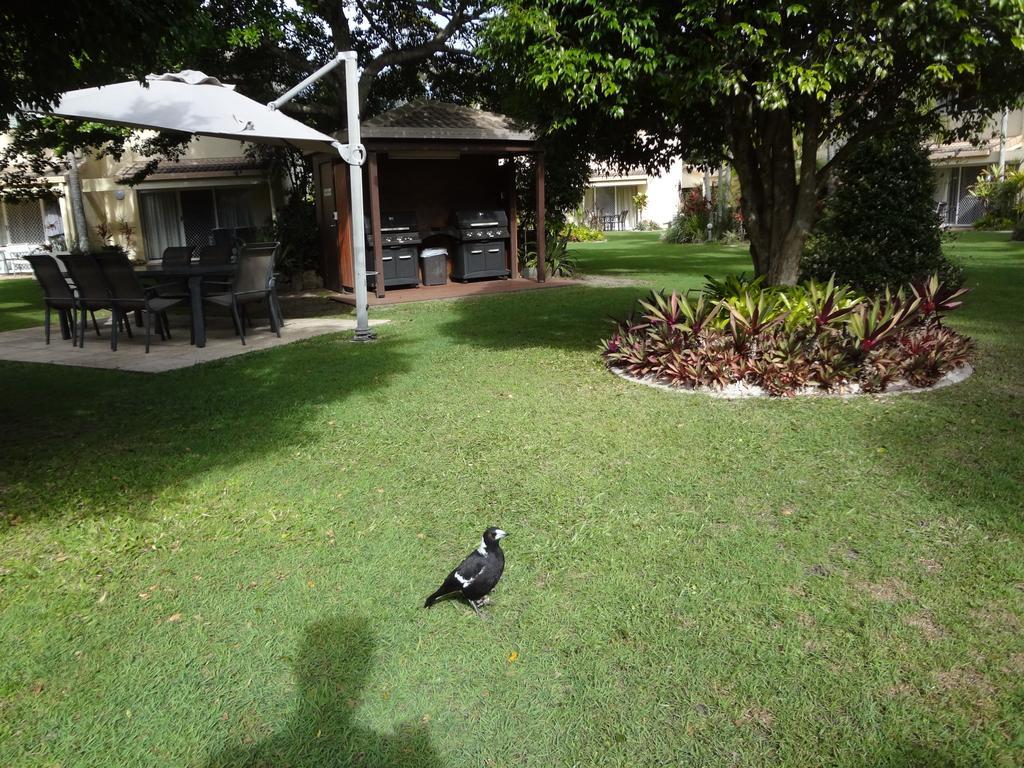 Noosa Gardens Riverside Resort Noosaville Kamer foto